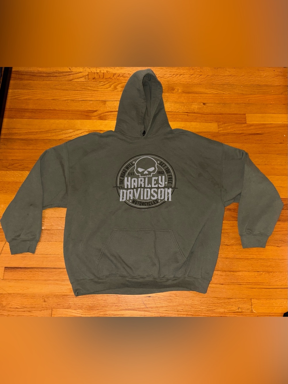 Harley-Davidson Green Pullover Hoodie Logo Graphic Print Pockets Mens 3XL